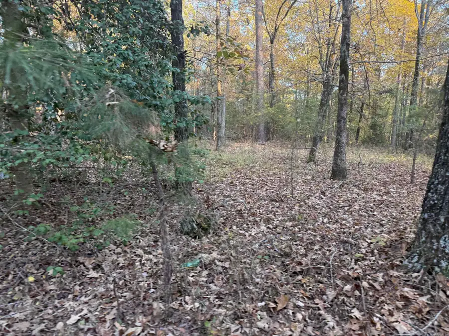 Address Withheld By Seller, Cove, AR 71937 - Image #2