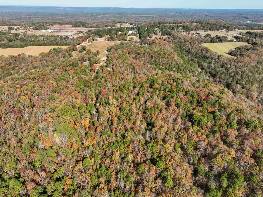 175 Juan Lane, Heber Springs, AR 72543 - Image #3