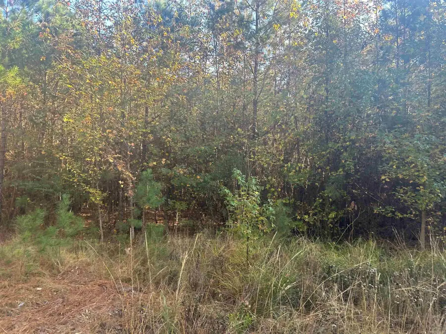 164 Hot Springs Drive, Arkadelphia, AR 71923 - Image #3