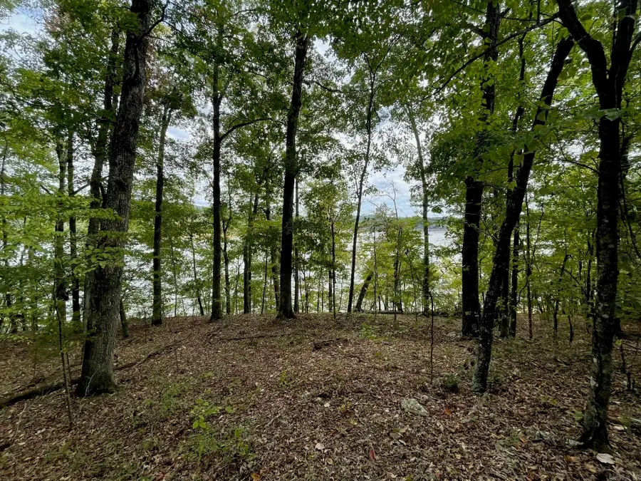 00 Angel Way, Clinton, AR 72031 - Image #3