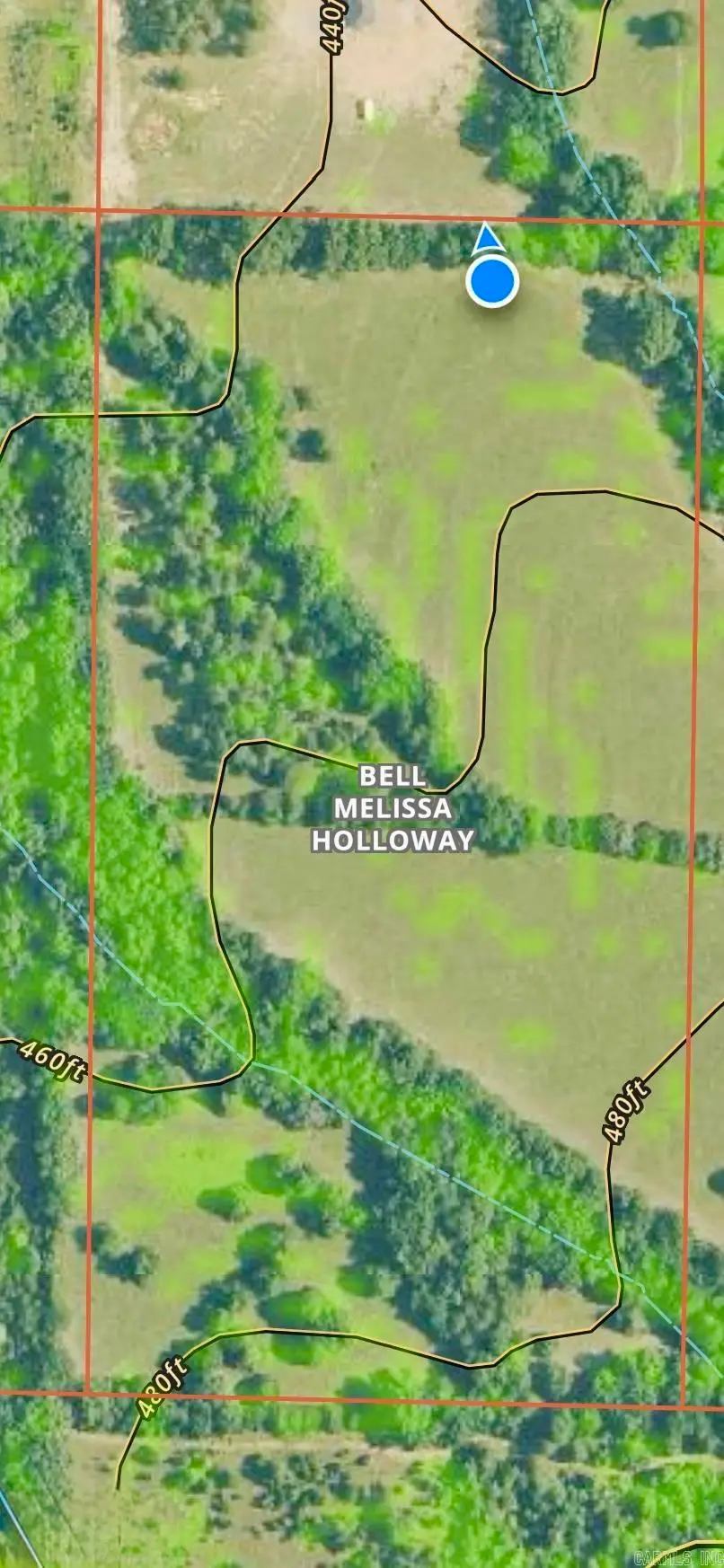 150 Holloway Lane, Greenbrier, AR 72058 - Image #2