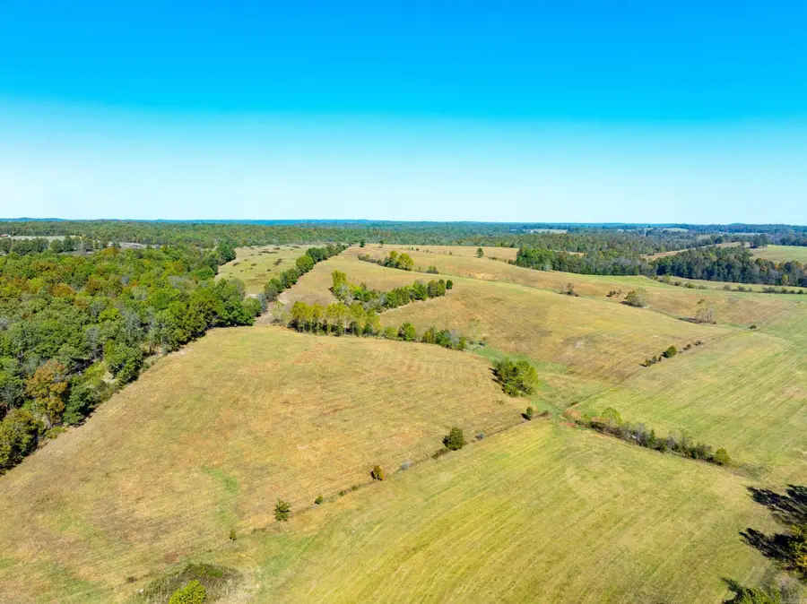 717 Green Valley Ln, Viola, AR 72583 - Image #2