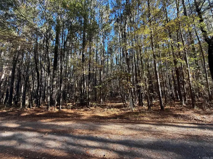 000 Grant 4613 Road, Sheridan, AR 72150 - Image #3