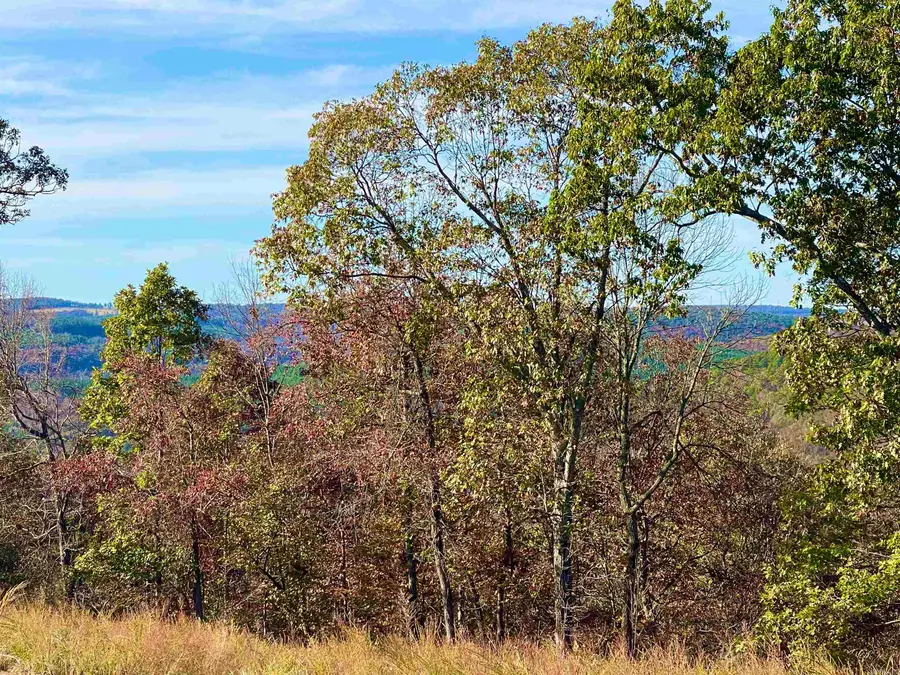 50 Eagle Ridge Dr., Greers Ferry, AR 72067 - Image #3