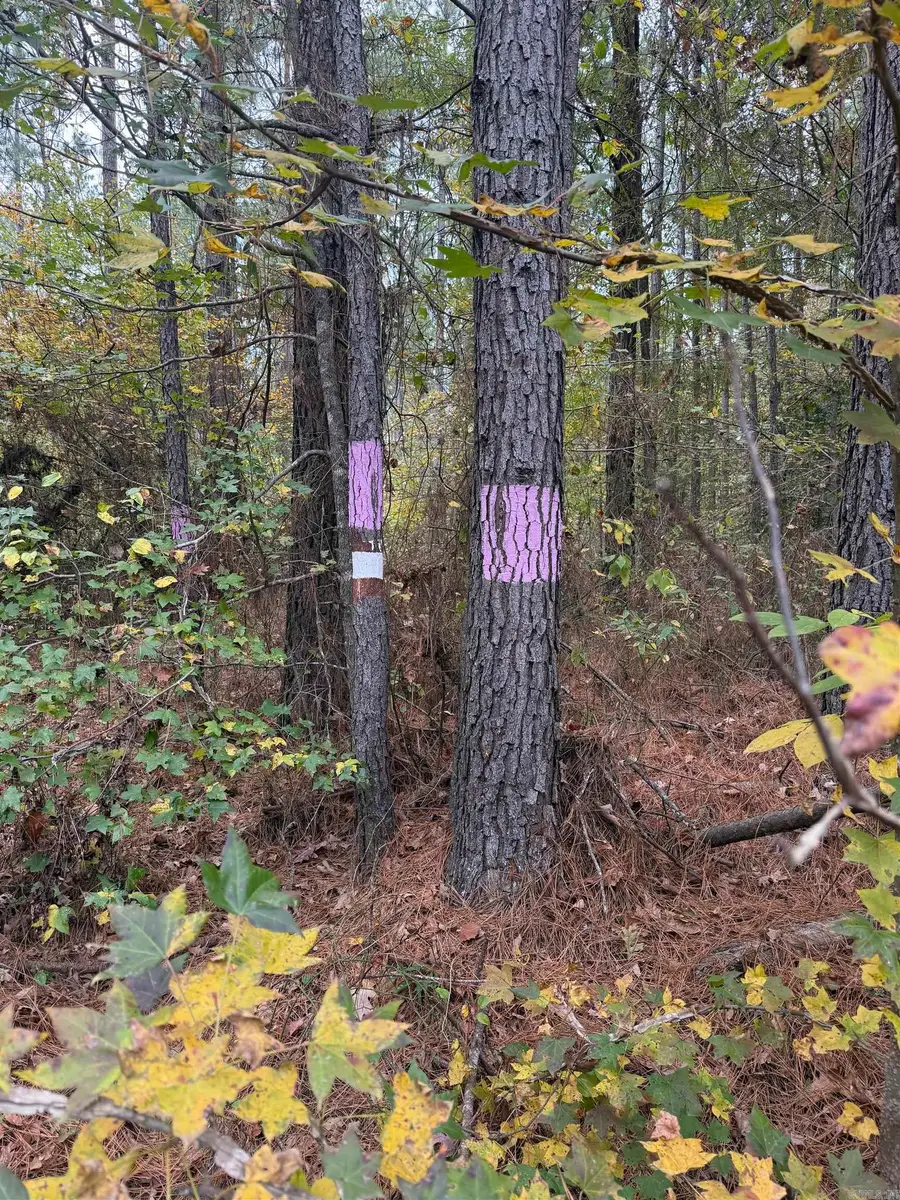 TBD Hitt Road, Murfreesboro, AR 71958 - Image #3