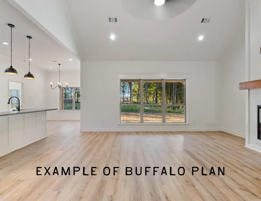 15 Jake Cove, Austin, AR 72007 - Image #3