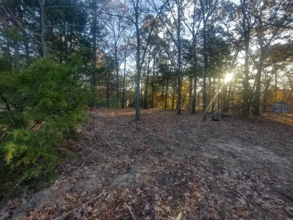 0 Westwood Ave, Mountain View, AR 72560