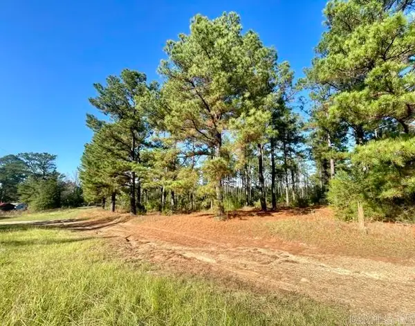 1407 Miller County 3, Doddridge, AR 71834