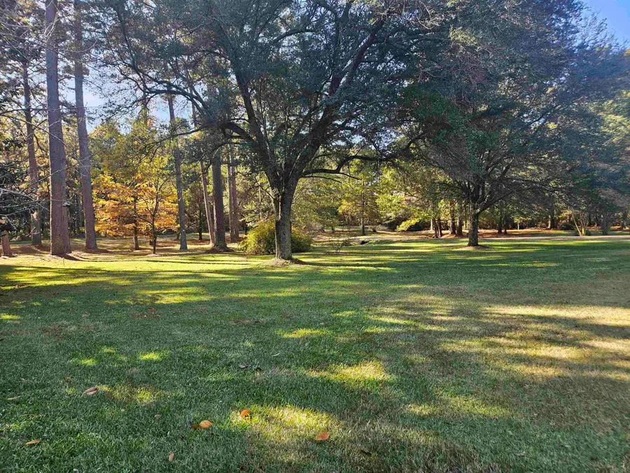 212 Young Road, Nashville, AR 71852 - Image #3