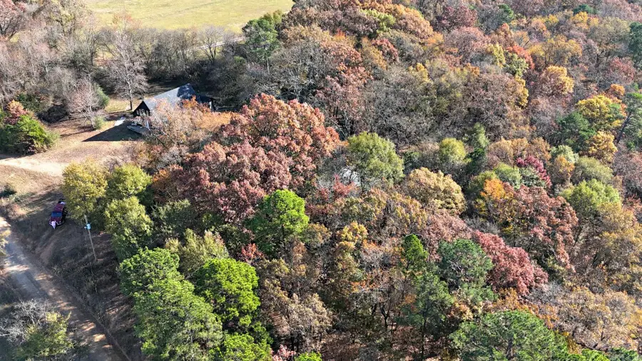 183 Polk Road 68, Mena, AR 71953 - Image #3