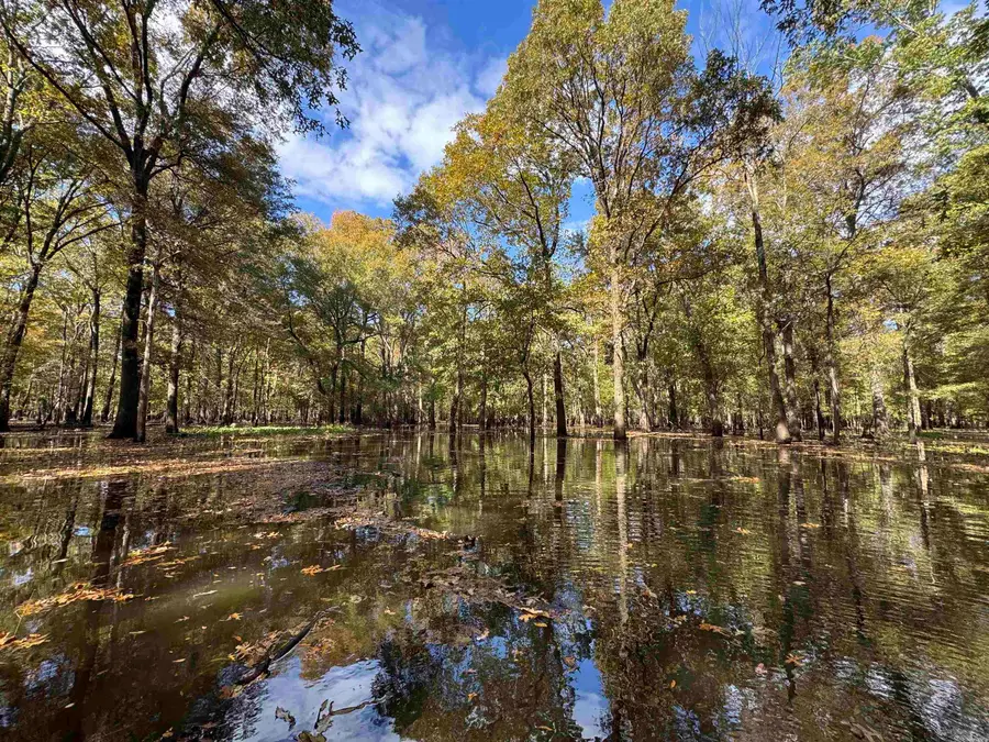 Address Withheld By Seller, Biscoe, AR 72017 - Image #3