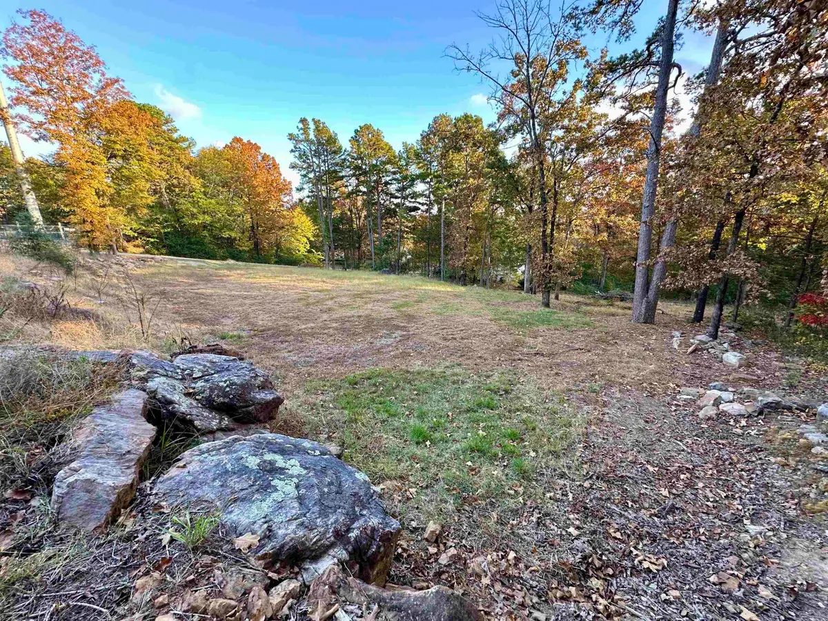 Hwy 110 W & Ash Street, Heber Springs, AR 72543 - Image #1