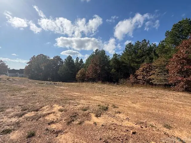 54 Summer Sky Drive, Greenbrier, AR 72058 - Image #3