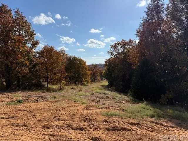 90 Summer Sky Drive, Greenbrier, AR 72058 - Image #3