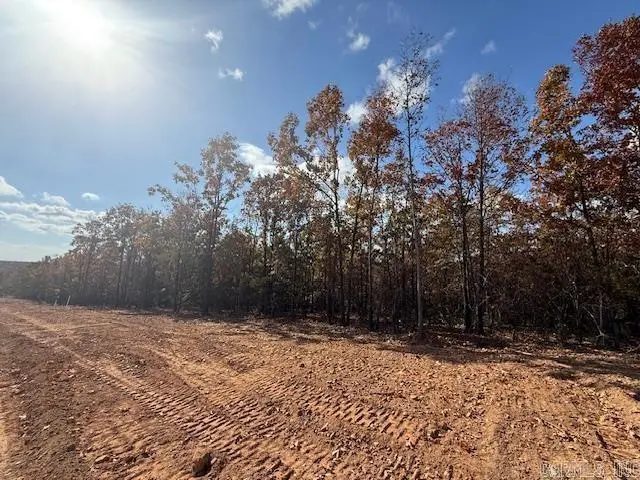 16 Summer Tyme Drive, Greenbrier, AR 72058 - Image #3