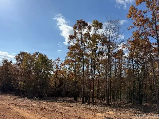 18 Summer Tyme Drive, Greenbrier, AR 72058 - Image #3