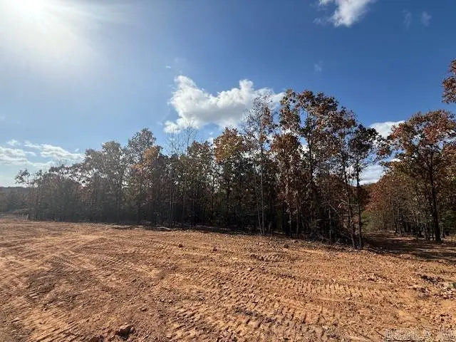 20 Summer Tyme Drive, Greenbrier, AR 72058 - Image #2