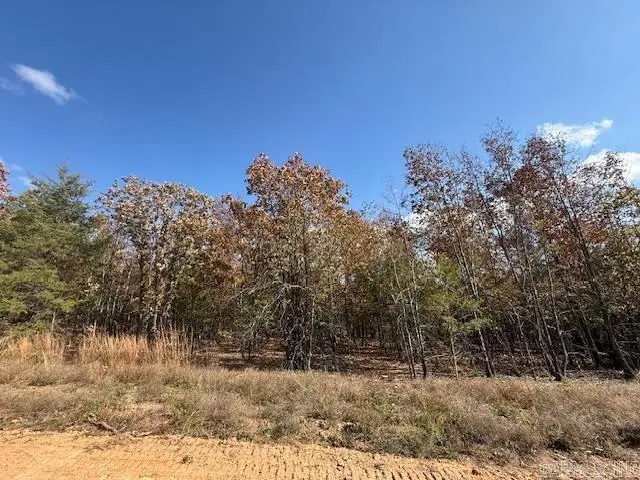 25 Summer Tyme Drive, Greenbrier, AR 72058 - Image #2