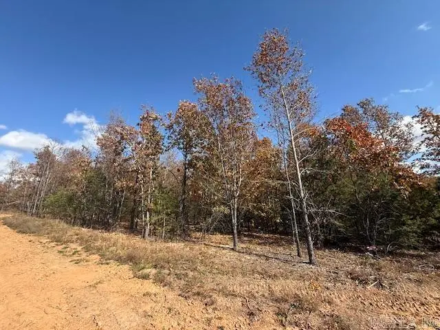 15 Summer Tyme Drive, Greenbrier, AR 72058 - Image #2