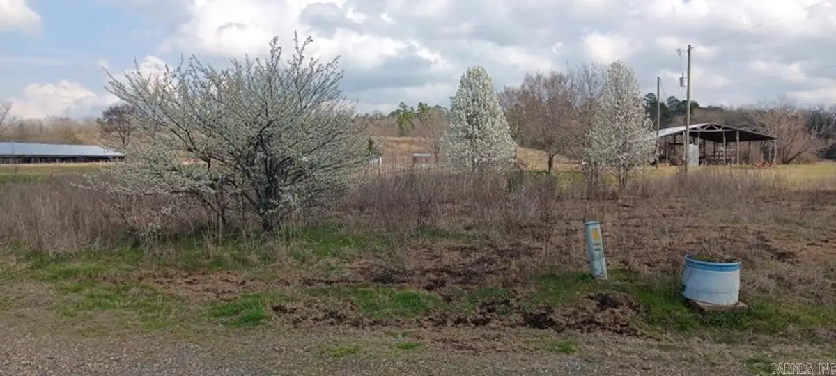 1525 Whitetown Road, Oden, AR 71961 - Image #1