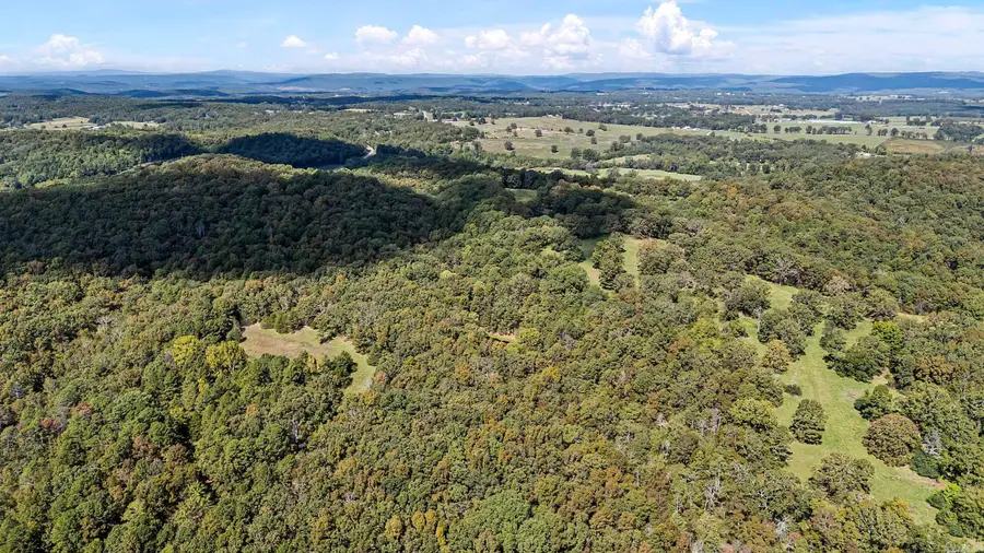 TRACT 2&3-13610 N Sr 105, Hector, AR 72843 - Image #2