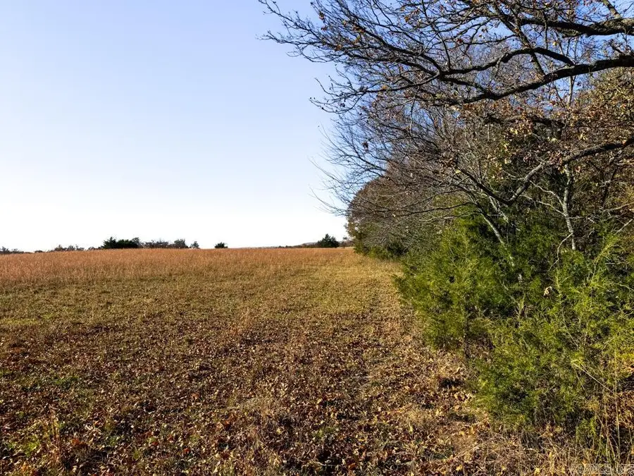 8043 Holly Mountain Road, Clinton, AR 72031 - Image #3
