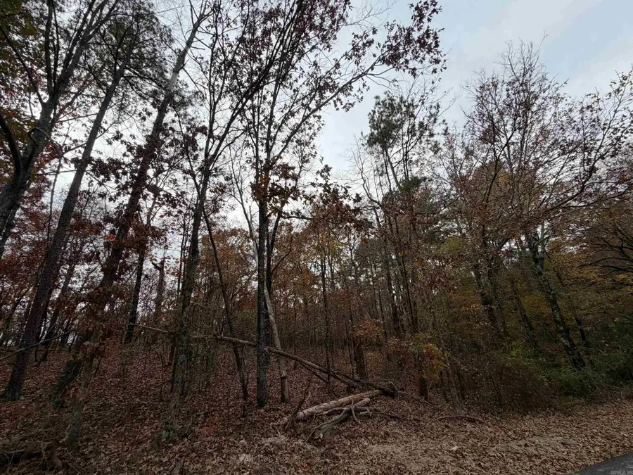 TBD Chattanooga Street, Hot Springs, AR 71901 - Image #2