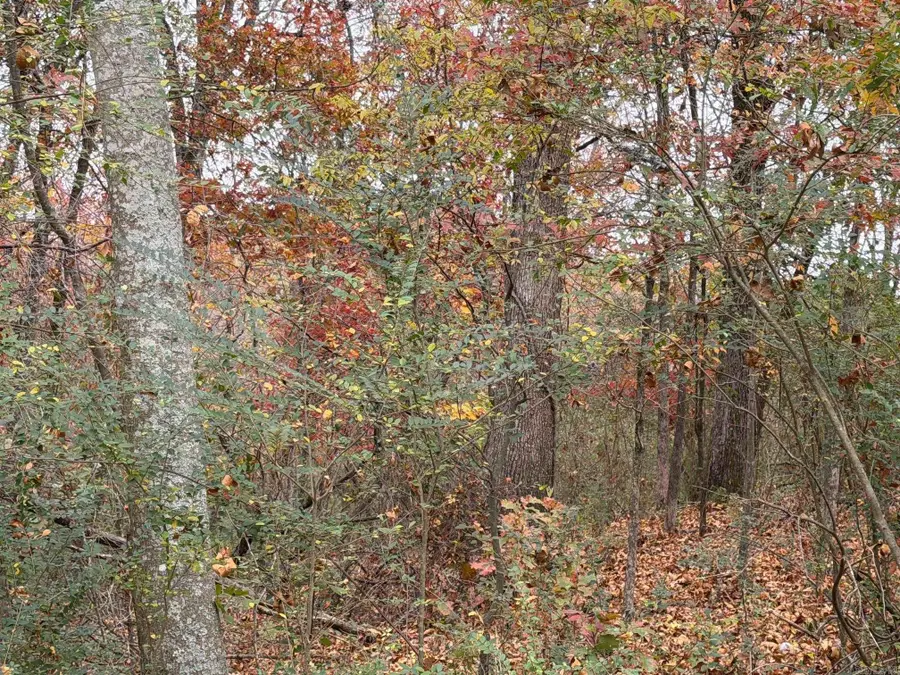 TBD Chattanooga Street, Hot Springs, AR 71901 - Image #3