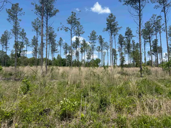 0 Grant 433, Sheridan, AR 72150