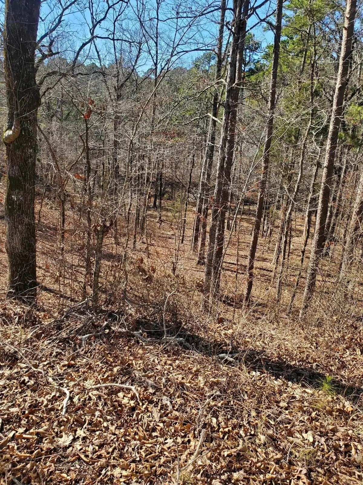 TBD Polk Road 197, Mena, AR 71953 - #1