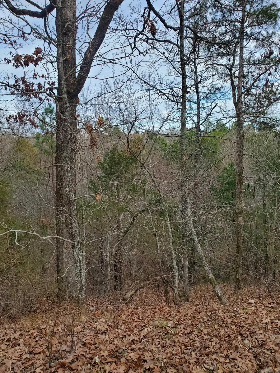 TBD Polk Road 197, Mena, AR 71953 - #3