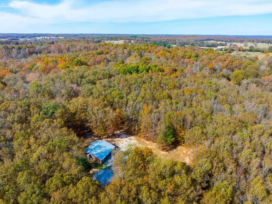 253 Judge Anderson Rd, Strawberry, AR 72469 - Image #2