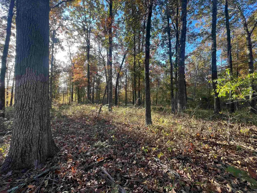 Address Withheld By Seller, Pine Bluff, AR 71603 - Image #2