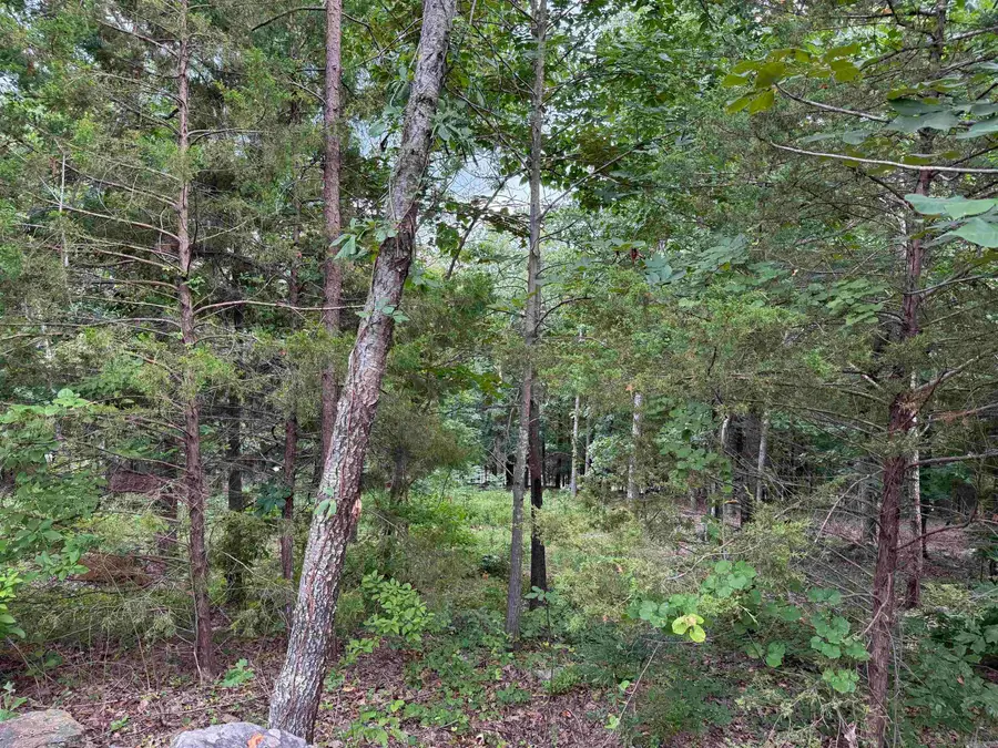 Lot 37R Stoney Ridge Road, Heber Springs, AR 72543 - Image #3