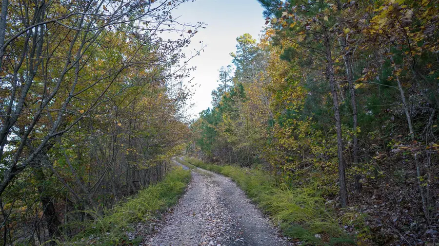 Address Withheld By Seller, Glenwood, AR 71943 - Image #2