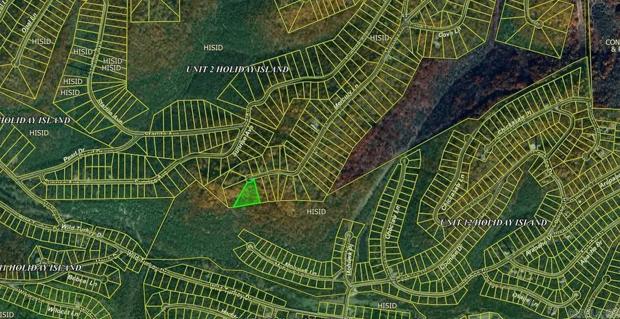 Lot 25 Mercury Lane, Holiday Island, AR 72631 - Image #2