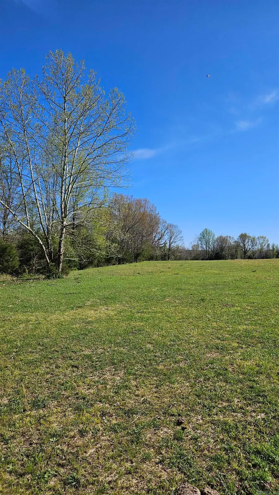 194 County Road 417, Rector, AR 72461 - #3