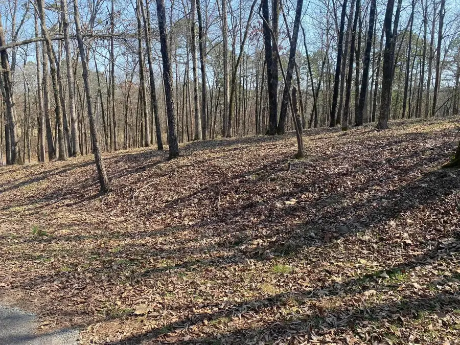 Lot 1687 Westchester Court, Hot Springs, AR 71913 - Image #2