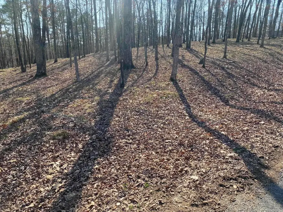 Lot 1687 Westchester Court, Hot Springs, AR 71913 - Image #3