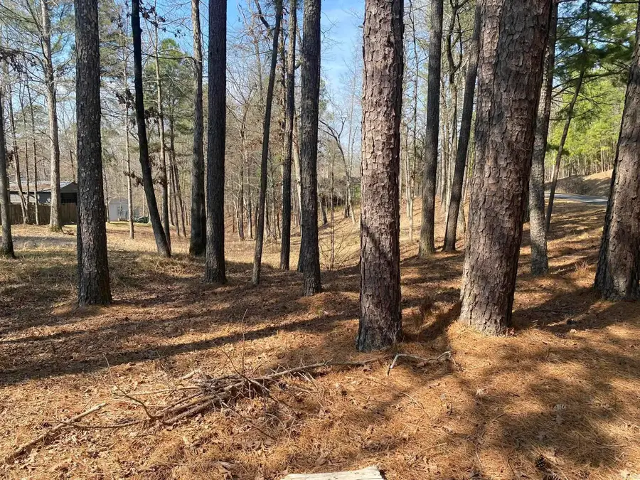 Lot 3573A Coolwood Terrace, Hot Springs, AR 71913 - #2
