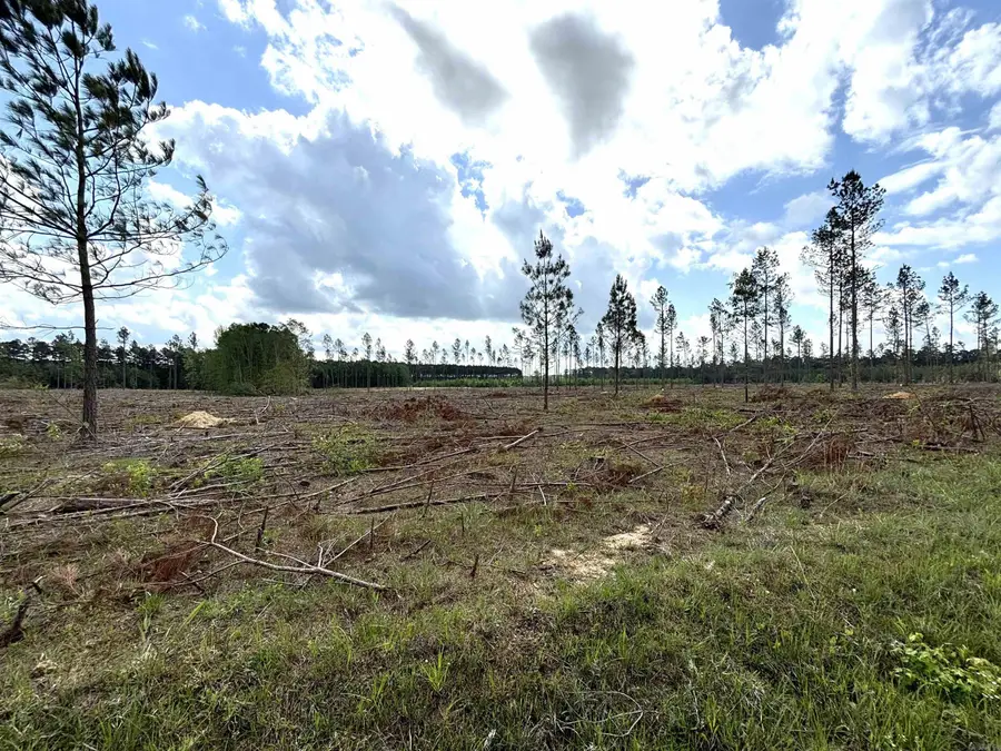 0 Grant County Road 9 (c), Sheridan, AR 72150 - Image #2