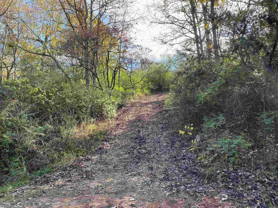 760-19585-000 Sandot Drive, Bull Shoals, AR 72619 - Image #3