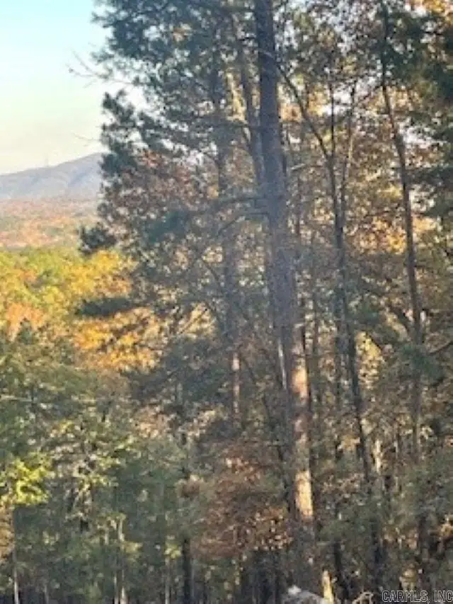 0 Rustic Hills Trail, Royal, AR 71968 - Image #2