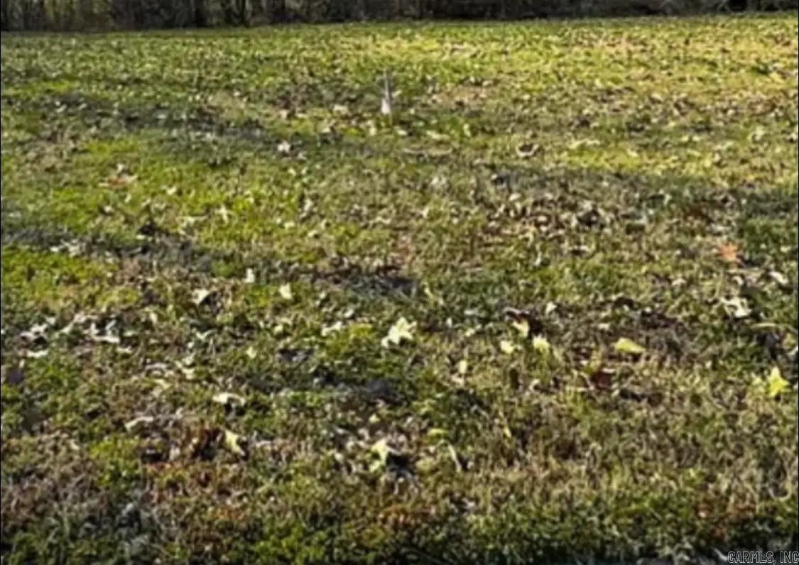 1517 Granger, Jonesboro, AR 72405 - Image #1