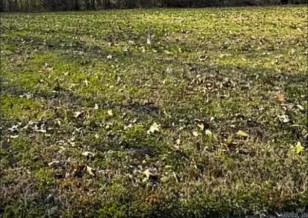 1517 Granger, Jonesboro, AR 72405