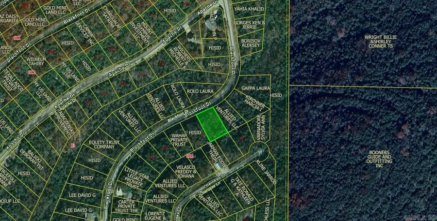 Lot 4 Blackfoot Drive, Holiday Island, AR 72631 - Image #2