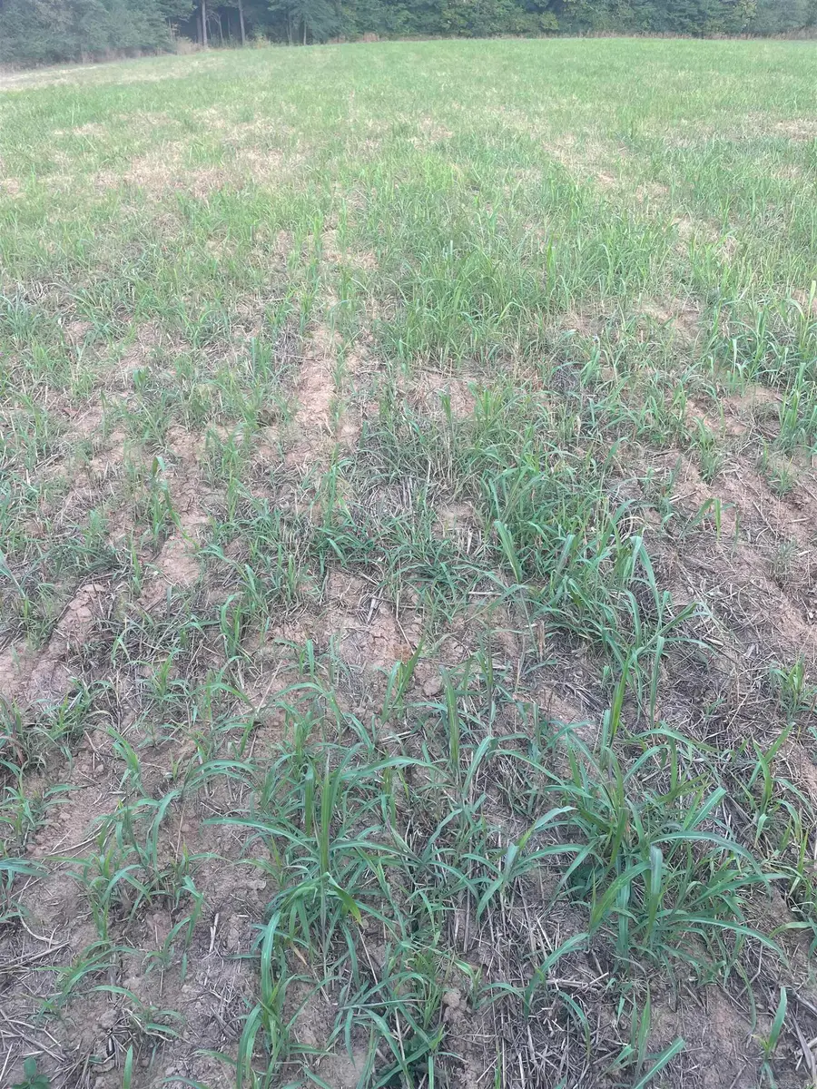 000 Crypress Lake, Union, AR 72020 - Image #3