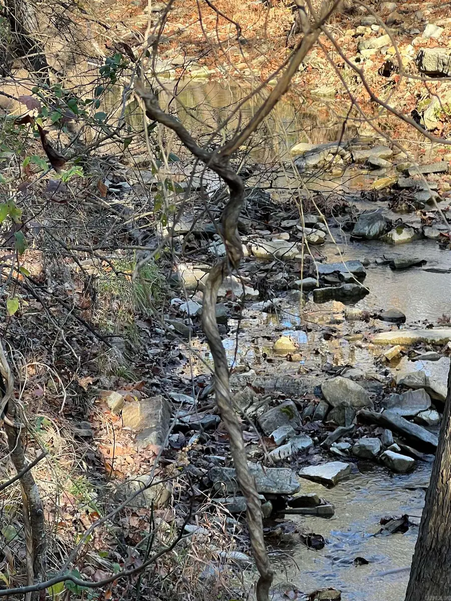 001-08378-001 W Hwy 62, Pyatt, AR 72672 - #2