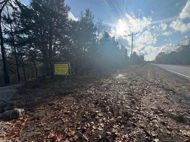 Tract B Hwy 101, Gamaliel, AR 72537 - Image #3