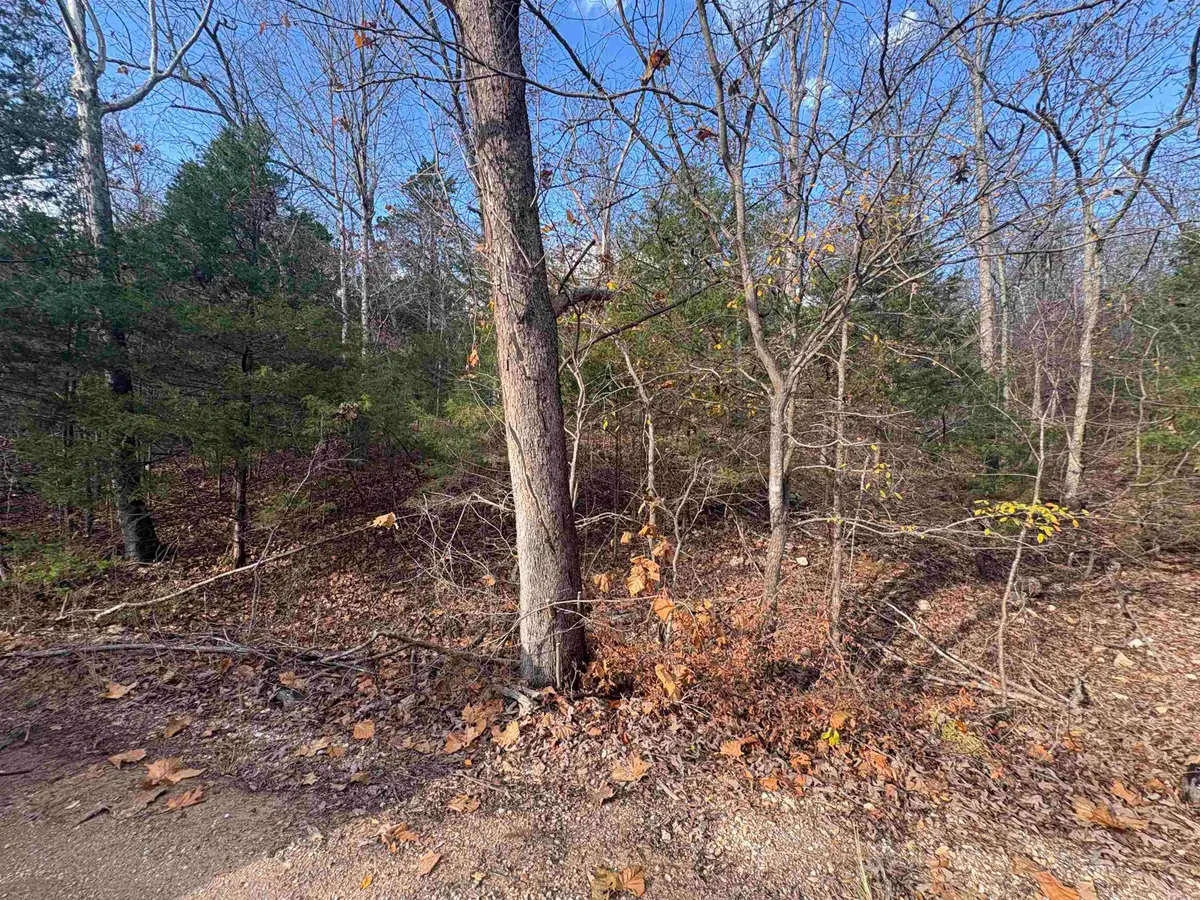 Tract D Crystal Oaks Trail, Gamaliel, AR 72537 - Image #1